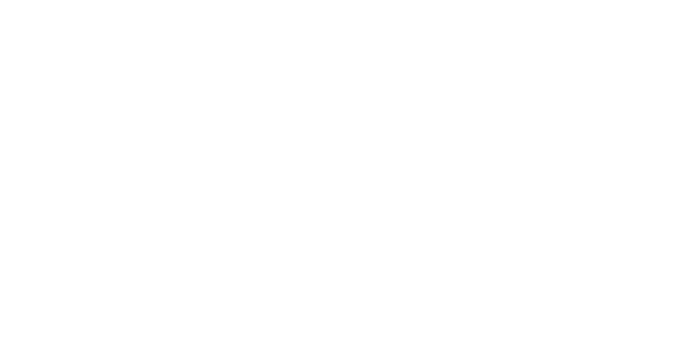 Fizy