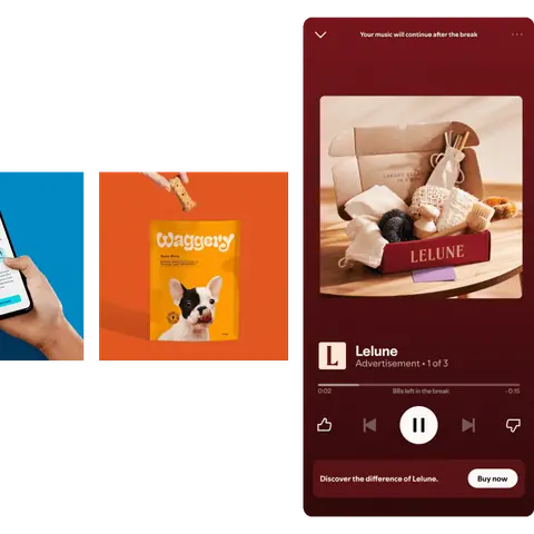 Spotify Audio + Companion ad mockup