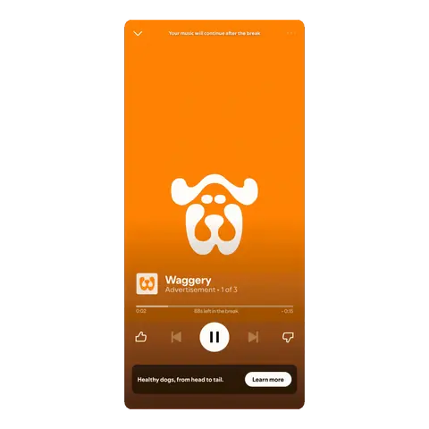 Spotify Video ad mockup